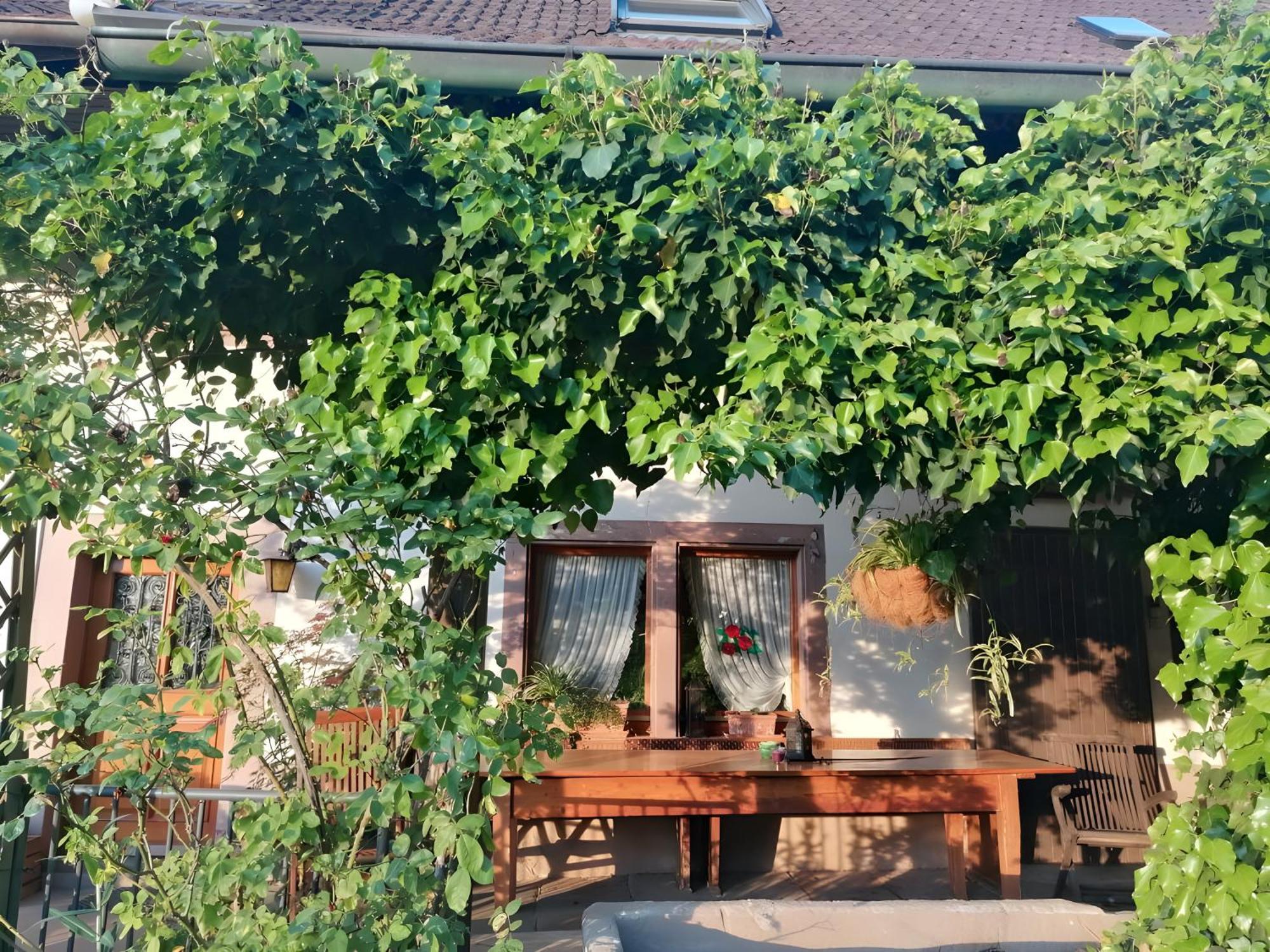 Room In Guest Room - Double Room Apple Blossom Schuttertal Exterior foto